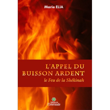 L'Appel du Buisson ardent - le feu de la Shékinah